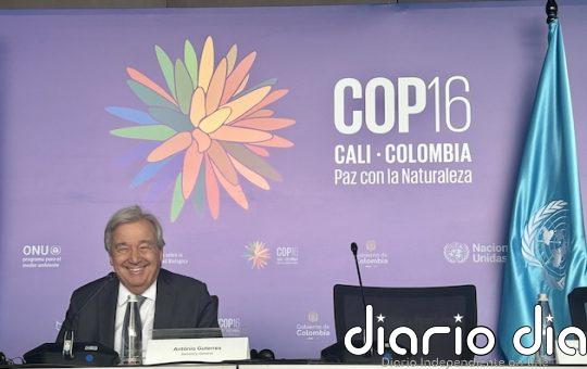Defensa de la biodiversidad en conflictos armados: ¿Responderá la COP16 a las expectativas?