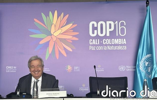 Defensa de la biodiversidad en conflictos armados: ¿Responderá la COP16 a las expectativas?