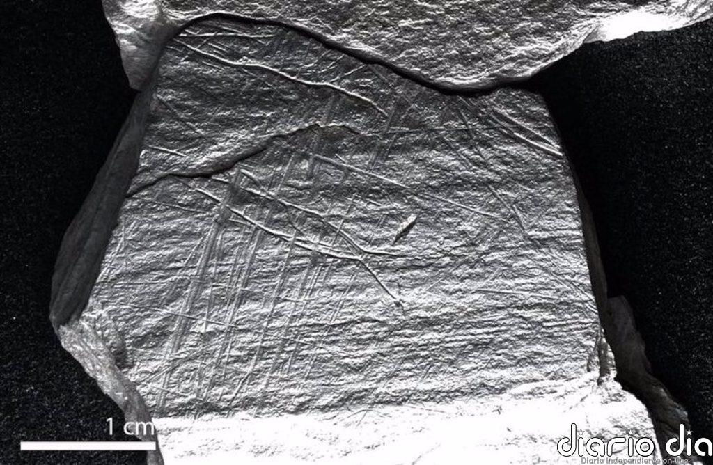 Descubren grabados de hace 15.800 años de captura de peces