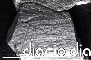 Descubren grabados de hace 15.800 años de captura de peces