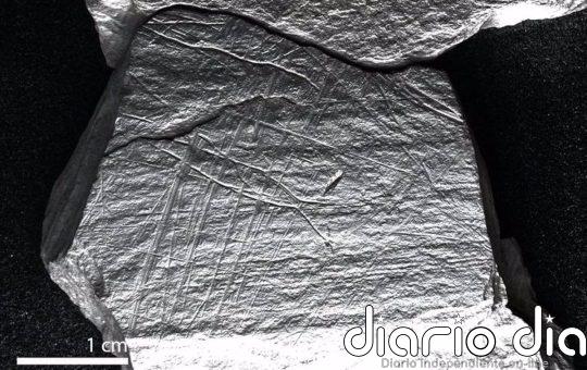 Descubren grabados de hace 15.800 años de captura de peces