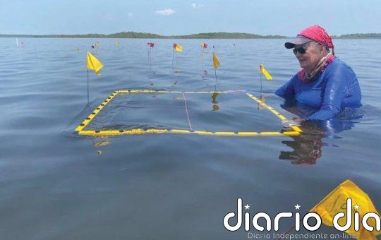 Excavan las salinas mayas más antiguas conocidas