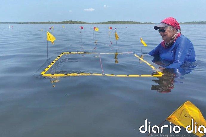 Excavan las salinas mayas más antiguas conocidas