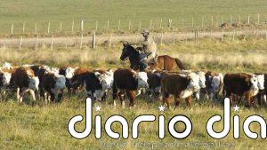 FAO propone atender la agricultura para encarar crisis del clima