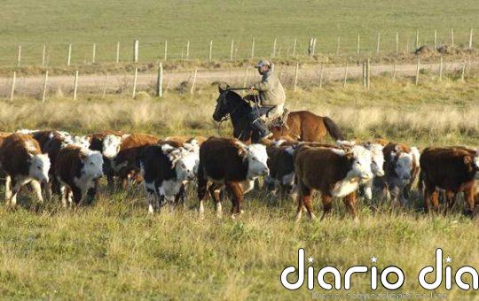 FAO propone atender la agricultura para encarar crisis del clima