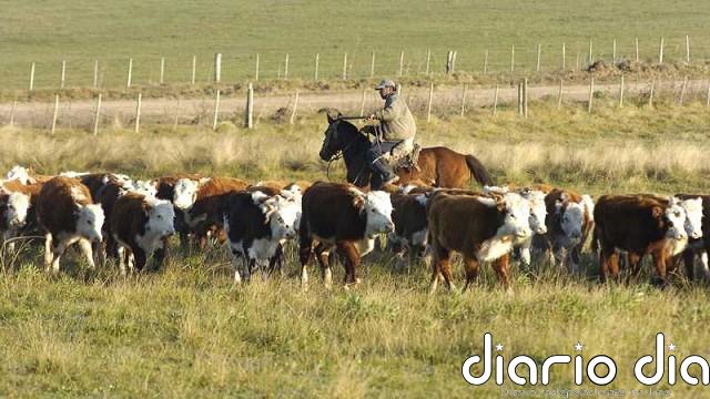 FAO propone atender la agricultura para encarar crisis del clima