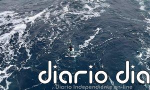 La mitad del fitoplancton de los océanos está oculto para los satélites