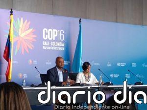 Las oportunidades y desafíos de los créditos de biodiversidad en la COP16