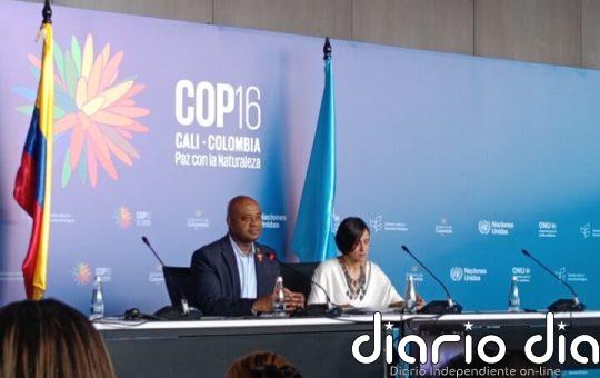 Las oportunidades y desafíos de los créditos de biodiversidad en la COP16