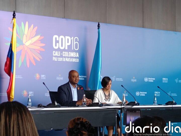 Las oportunidades y desafíos de los créditos de biodiversidad en la COP16