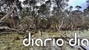 Los humanos ya transformaban el fin del mundo con fuego hace 41.000 años