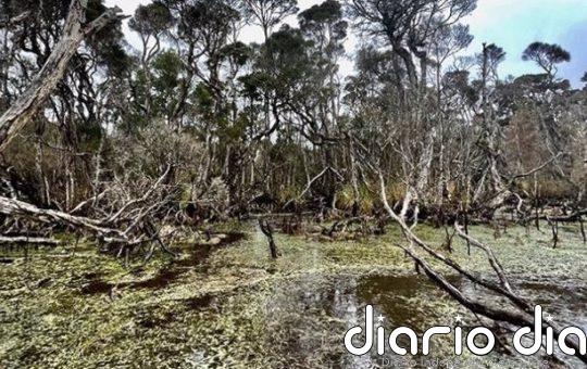 Los humanos ya transformaban el fin del mundo con fuego hace 41.000 años