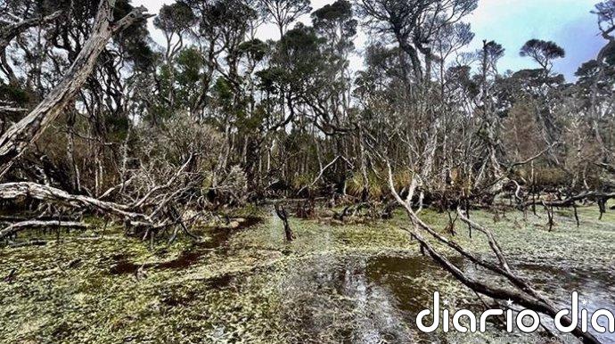 Los humanos ya transformaban el fin del mundo con fuego hace 41.000 años