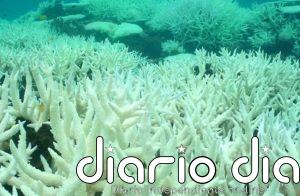 Los océanos se acidifican al ritmo de un antiguo evento climático