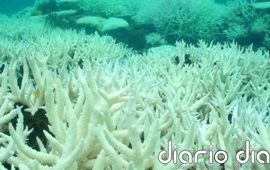 Los océanos se acidifican al ritmo de un antiguo evento climático