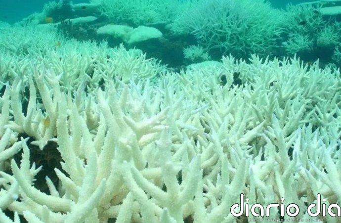 Los océanos se acidifican al ritmo de un antiguo evento climático