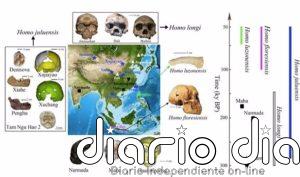 Posible nueva especie humana revelada en Asia