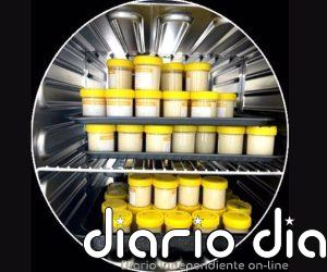 Un yogur de altramuces rivaliza con el lácteo en sabor y textura