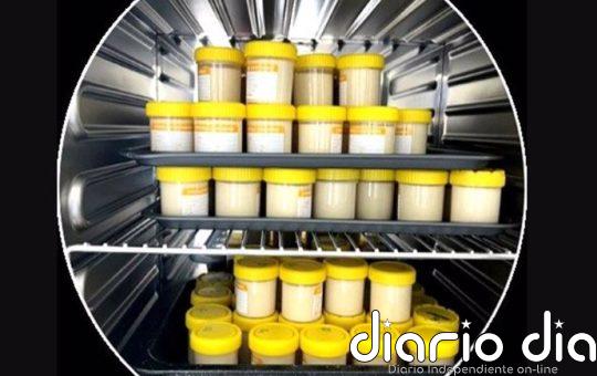 Un yogur de altramuces rivaliza con el lácteo en sabor y textura