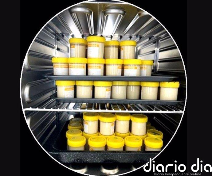 Un yogur de altramuces rivaliza con el lácteo en sabor y textura