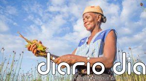 Una triple crisis planetaria asola a los paisajes africanos