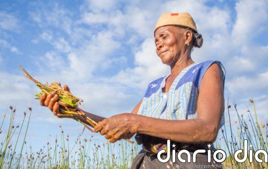 Una triple crisis planetaria asola a los paisajes africanos