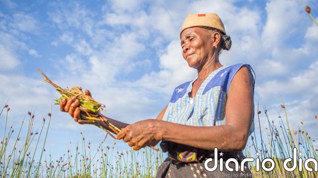 Una triple crisis planetaria asola a los paisajes africanos