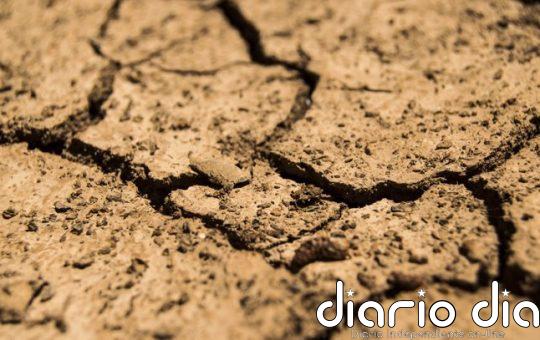 Agricultura finaliza pago de ayudas extraordinarias por la guerra en Ucrania y la sequía por 1.364 millones