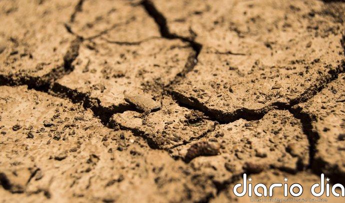 Agricultura finaliza pago de ayudas extraordinarias por la guerra en Ucrania y la sequía por 1.364 millones