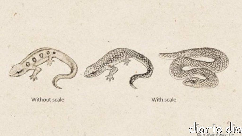 ¿Cómo reconocen los monos a las serpientes tan rápido?