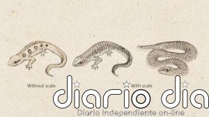 ¿Cómo reconocen los monos a las serpientes tan rápido?