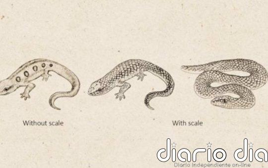 ¿Cómo reconocen los monos a las serpientes tan rápido?