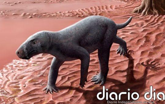 Descrito en Mallorca el ancestro de los mamíferos más antiguo del mundo