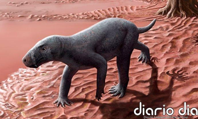 Descrito en Mallorca el ancestro de los mamíferos más antiguo del mundo