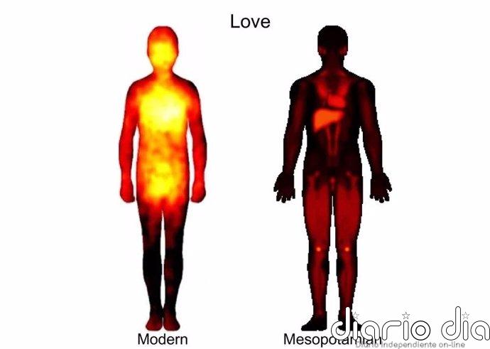 En Mesopotamia el amor se sentía en el hígado y el enojo en los pies Los pueblos de la actualidad y de Mesopotamia experimentan el amor de una manera bastante similar. En Mesopotamia, el amor se asocia especialmente con el hígado, el corazón y las rodillas.