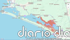 Expansíón del mayor puerto mexicano alarma por daño ambiental