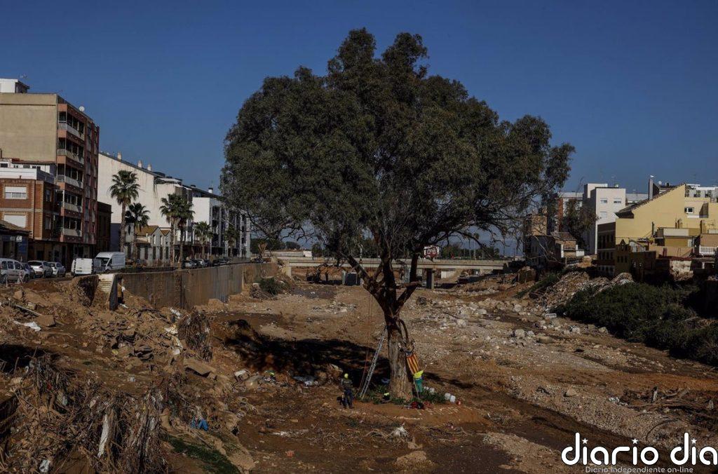 'Gordofobia', 'dana', 'mena', 'pellet', 'narcolancha' o 'woke', candidatas a la palabra del año 2024 de FundéuRAE