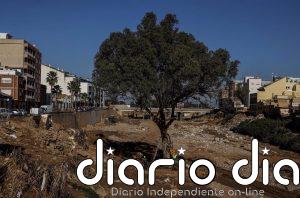 'Gordofobia', 'dana', 'mena', 'pellet', 'narcolancha' o 'woke', candidatas a la palabra del año 2024 de FundéuRAE