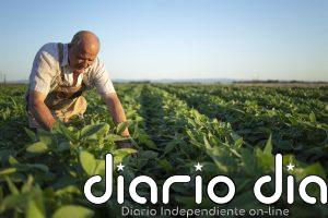 La renta agraria alcanza los 37.759 millones en 2024, un 14,2% más, por la caída de los costes de producción