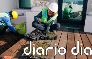 Los jóvenes y la transición hacia empleos verdes