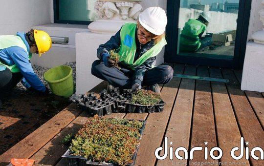 Los jóvenes y la transición hacia empleos verdes