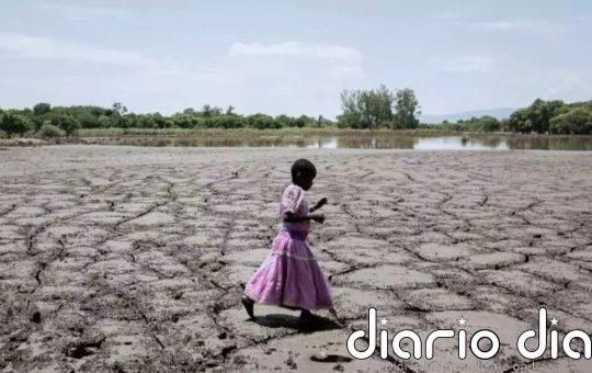 Sales en los suelos afectan a la décima parte de las tierras