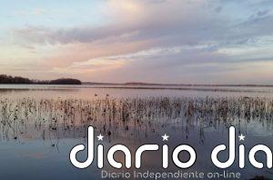 Algunas bacterias evolucionan como un reloj con las estaciones