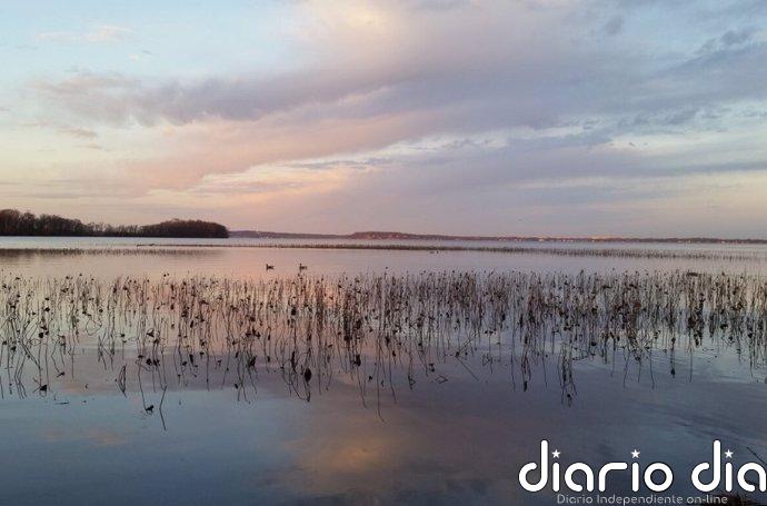 Algunas bacterias evolucionan como un reloj con las estaciones