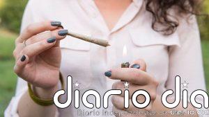 Cómo el consumo de cannabis afecta la memoria de trabajo