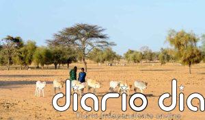 Compromiso mundial para restaurar tierras se adopta en Riad