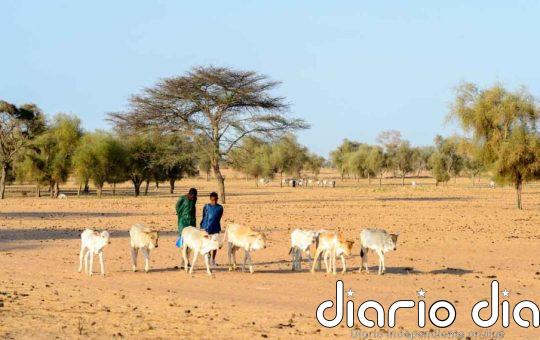 Compromiso mundial para restaurar tierras se adopta en Riad