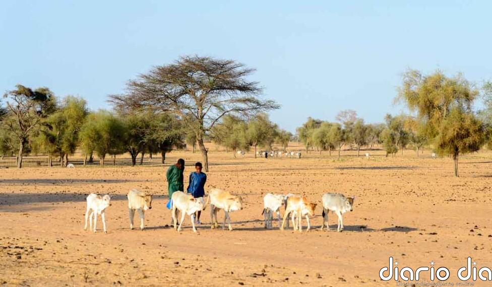 Compromiso mundial para restaurar tierras se adopta en Riad