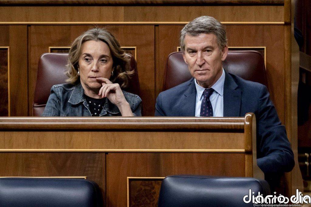 El PP anuncia que votará a favor del nuevo decreto del Gobierno pactado con Junts