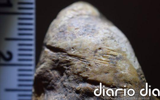 La llegada de homínidos a Europa se atrasa a dos millones de años